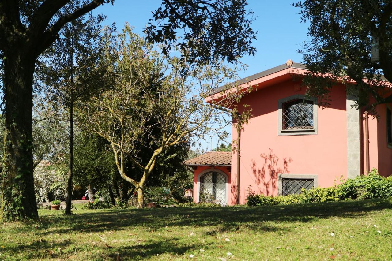 B&B Ai Glicini - Castelli Romani Маріно Екстер'єр фото