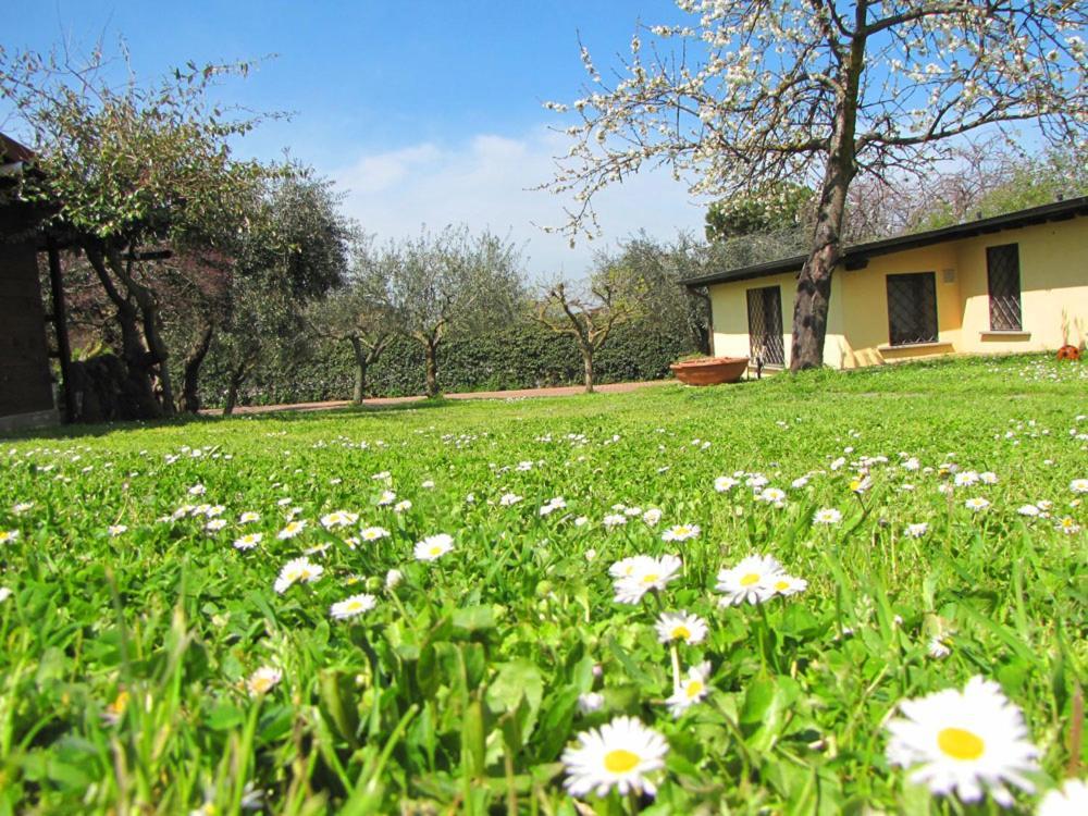 B&B Ai Glicini - Castelli Romani Маріно Екстер'єр фото