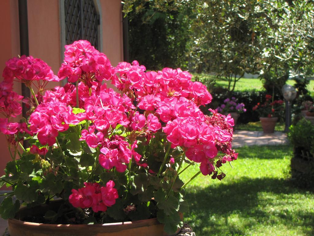 B&B Ai Glicini - Castelli Romani Маріно Екстер'єр фото