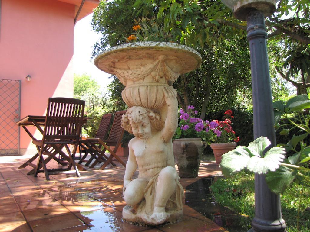 B&B Ai Glicini - Castelli Romani Маріно Екстер'єр фото