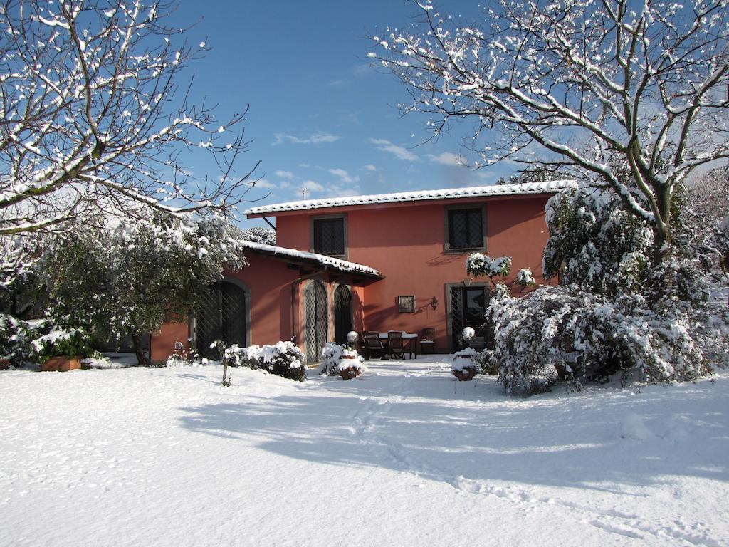 B&B Ai Glicini - Castelli Romani Маріно Екстер'єр фото